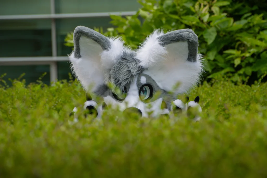 Photo of a fursuiter in the tall grass